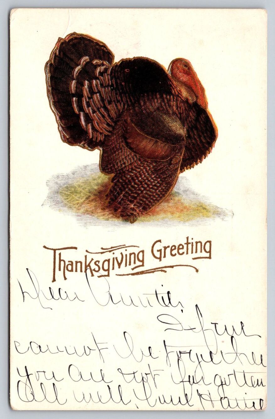 Antique 1906 Thanksgiving Postcard Turkey Embossed Mailed from Boston MA to VT